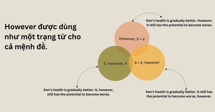 Lựa chọn giữa câu hỏi chủ động và câu hỏi bị động như thế nào? Áp dụng vào IELTS Writing Task 2