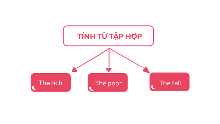 ví dụ về tính từ của tập thể