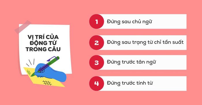 Vị trí của danh từ trong câu