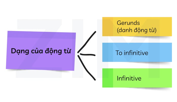 Verbs following modal verbs