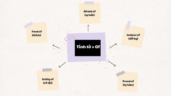 Tính từ kết hợp với Của