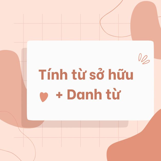 Vị trí của tính từ sở hữu trong câu