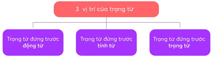 vị-trí-của-trạng-từ