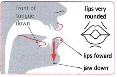 Hướng dẫn phát âm “OU“ là /ɔː/