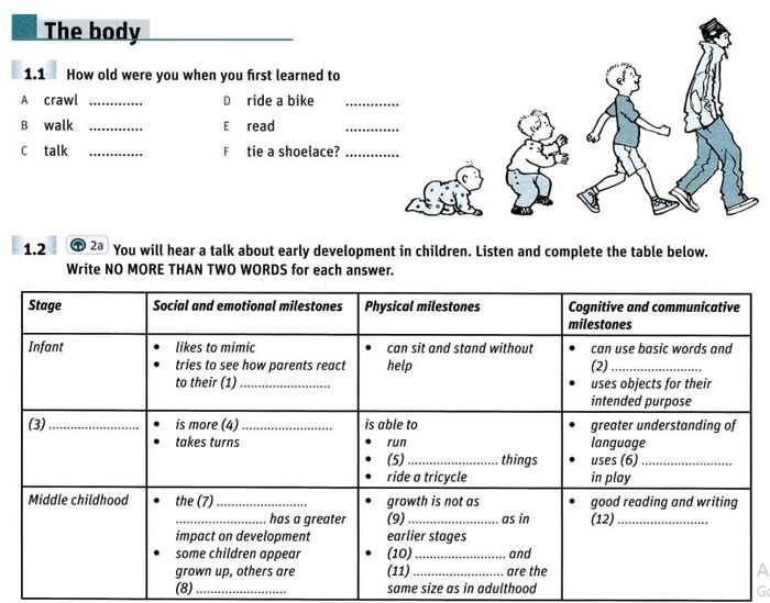 cách trình bày tài liệu từ vựng cho ielts