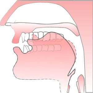 alternative description of the image