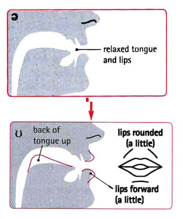 hình ảnh của cách mở miệng khi phát âm nguyên âm đôi /əʊ/