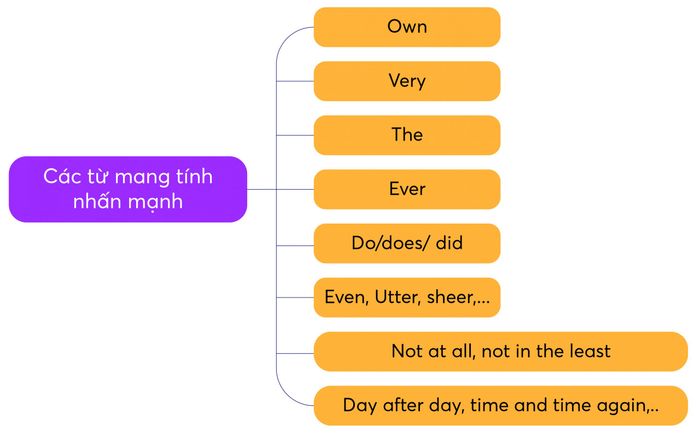 các từ mang tính nhấn mạnh