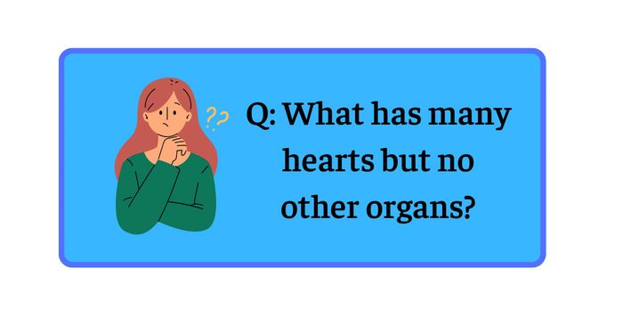 What possesses many hearts but no other organs?