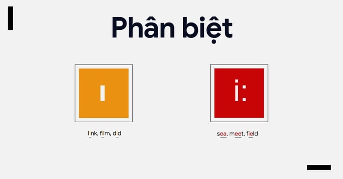 Hướng dẫn phân biệt giữa hai nguyên âm /ɪ/ và /i:/, cách phát âm chuẩn quốc tế
