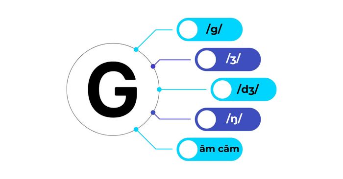 Phương pháp phát âm chữ g trong tiếng Anh một cách chuẩn như người bản xứ