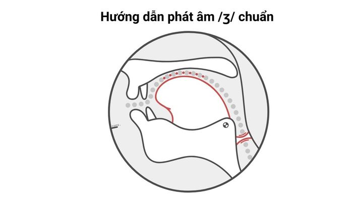 hình ảnh thay thế