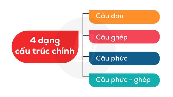 cau-phuc-ghep-la-gi-ung-dung-va-luu-y-trong-ielts-writing-task-2-4cau-truc-chinh