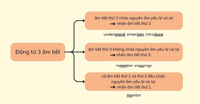 Động từ có 3 âm tiết