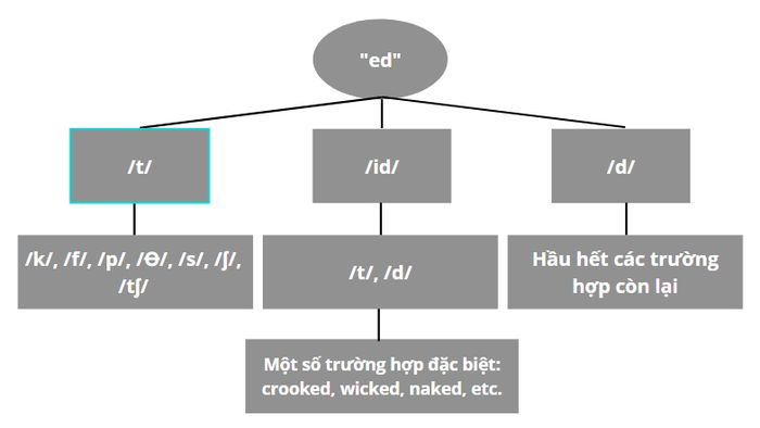 câu thần chú về phát âm ed