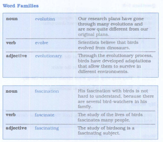 important-vocabulary-for-the-ielts-word-families