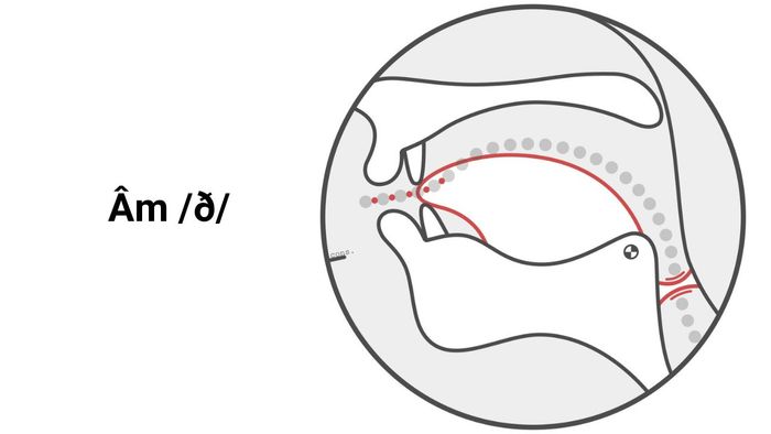 Cách thực hiện phát âm /ð/ đúng chuẩn