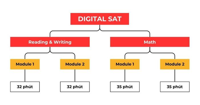 định dạng digital sat