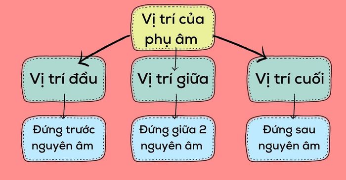 hình ảnh thay thế