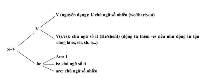 noi-dung-sach-25-chuyen-de-ngu-phap-tieng-anh-trong-tam