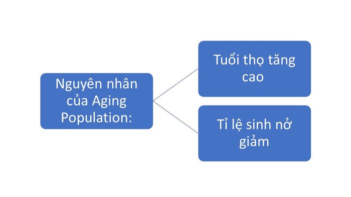 idea-for-ielts-writing-topic-aging-population-nguyen-nhan