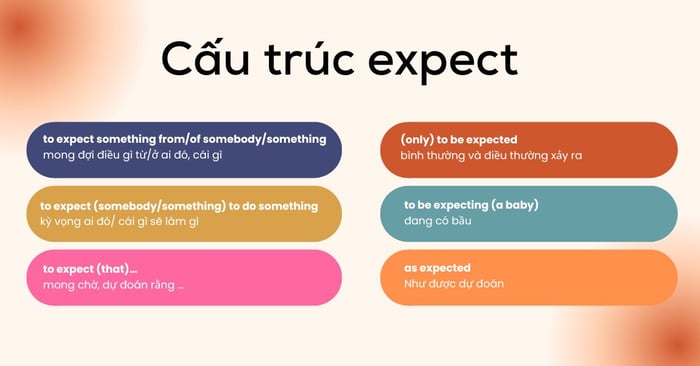 cấu trúc của expect