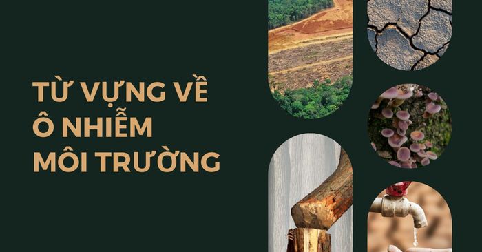 từ ngữ về ô nhiễm môi trường và các biện pháp giảm thiểu ô nhiễm môi trường