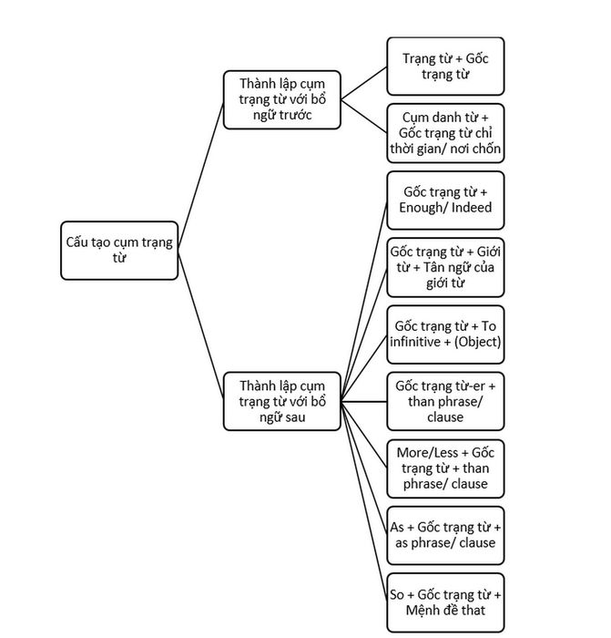 cau-tao-cum-trang-tu-trong-tieng-anh