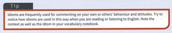 đánh-giá-va-hướng-dẫn-sử-dụng-sách-english-idioms-in-use-mẹo