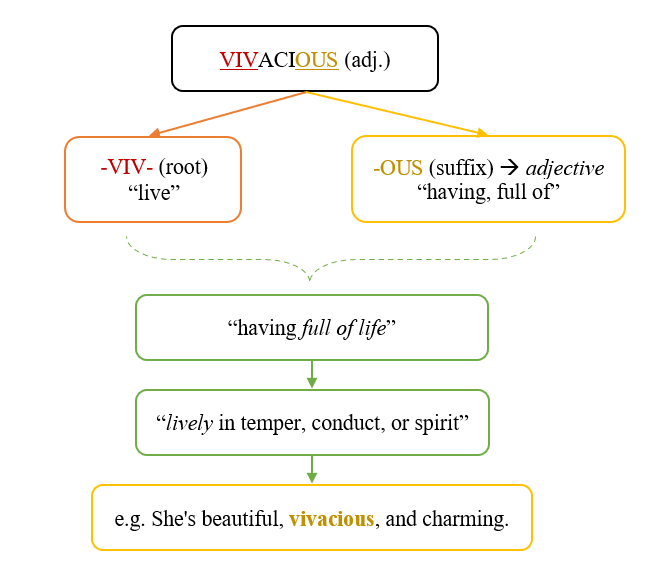 học từ vựng thông qua gốc từ full of life and energy
