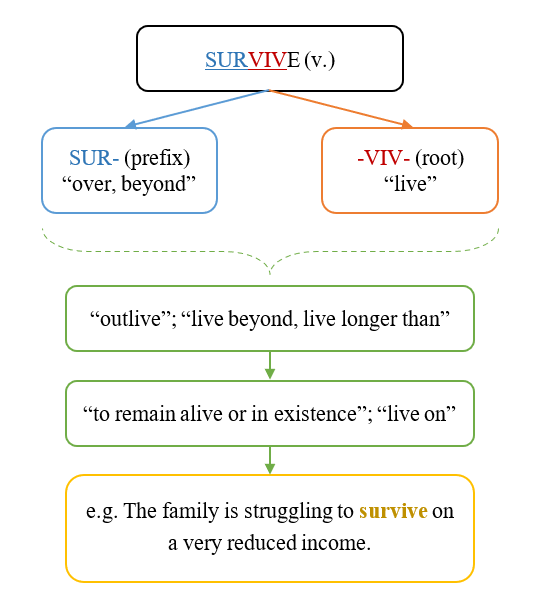 học từ vựng thông qua gốc từ thrive