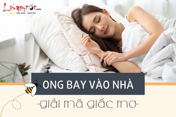 Giải mã giấc mơ về ong.