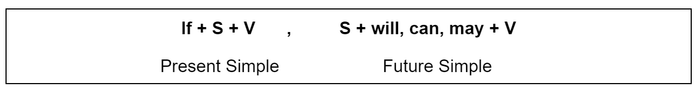 Type 1 conditional sentence