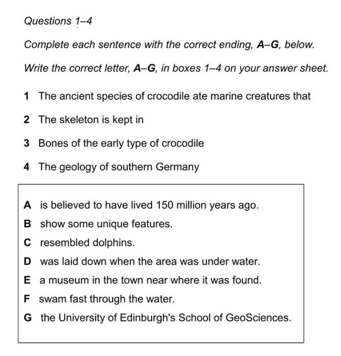 Định dạng của bài tập Matching Sentence Endings