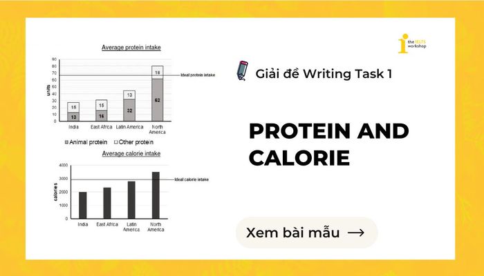 Protein and Calorie IELTS Writing Task 1