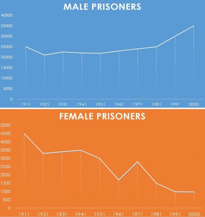 Essay topic: Prison population IELTS Writing Task 1