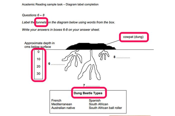 ví dụ bài tập completing tables charts note diagrams