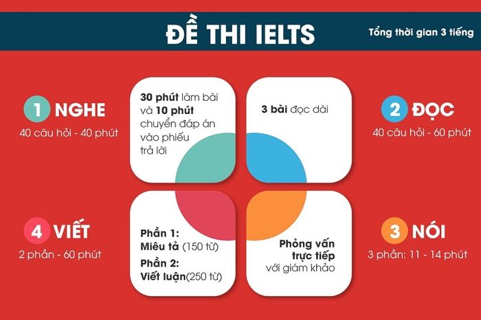 The IELTS exam