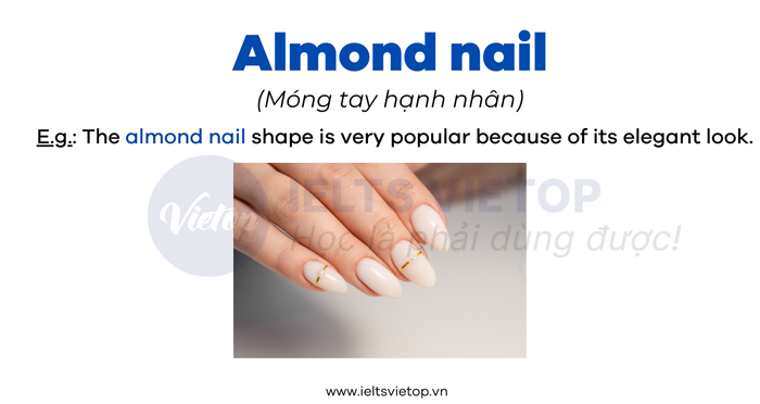 English vocabulary for the nail industry