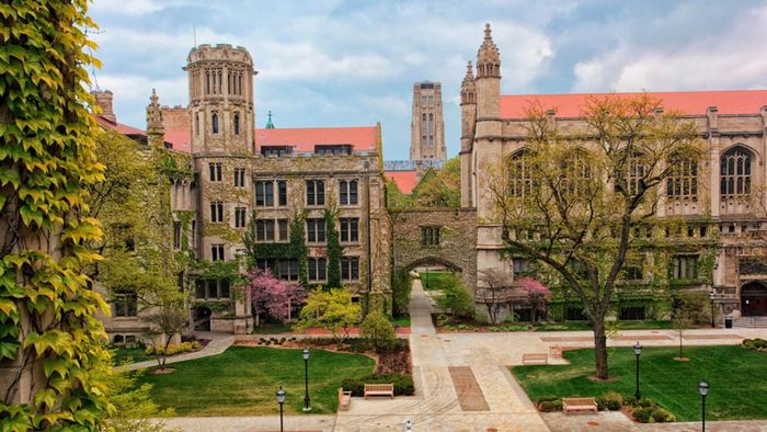 Trường Đại học Chicago