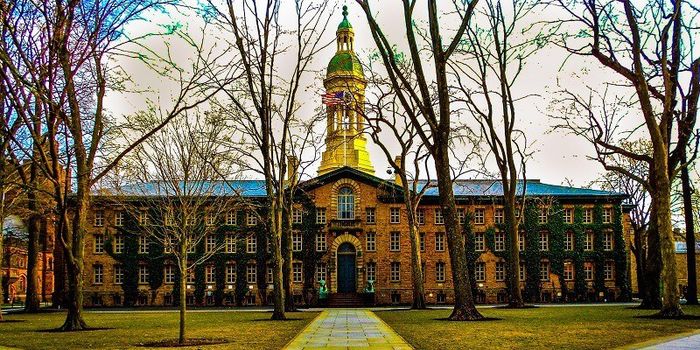 Trường Đại học Princeton