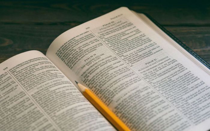 Tra cứu và học hết tất cả các từ trong bài Reading