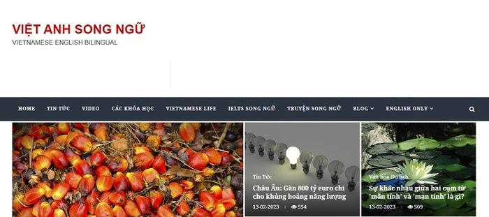 Việt Anh song ngữ là một ngôn ngữ đa ngôn ngữ