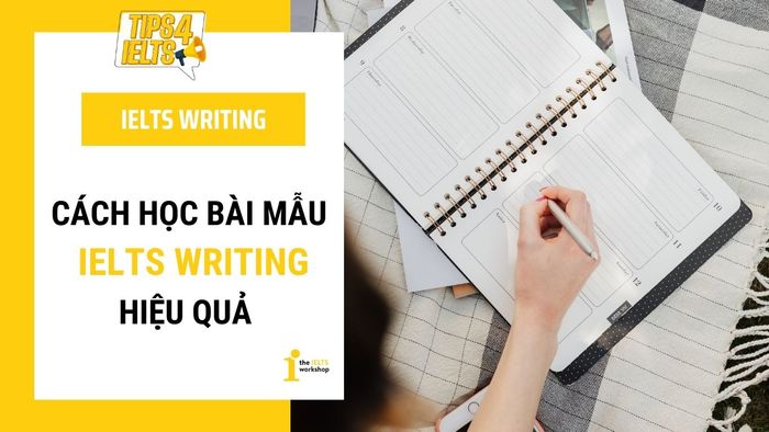 Cách sử dụng bài mẫu Writing để cải thiện bài viết của bạn