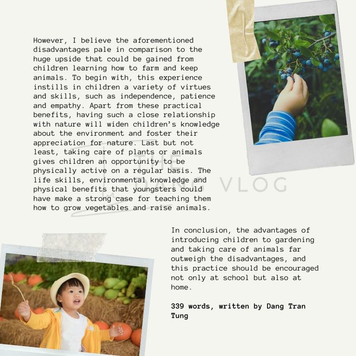 ielts writing task 2 animals