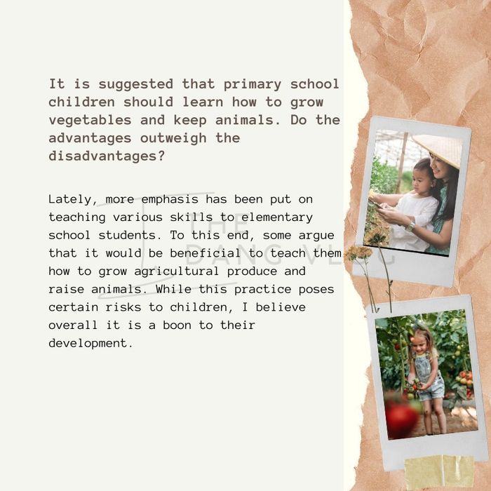 ielts writing task 2 animals