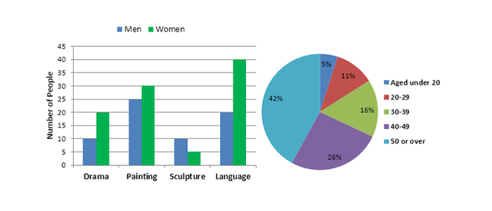 Pie chart (biểu đồ tròn) combined with Bar graph (biểu đồ cột)