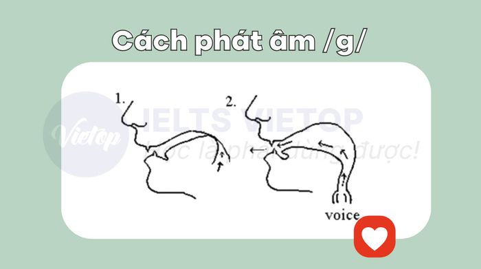 Pronunciation of g