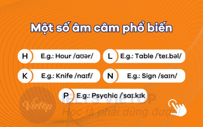 Các đại từ nhân xưng phổ biến trong tiếng Anh