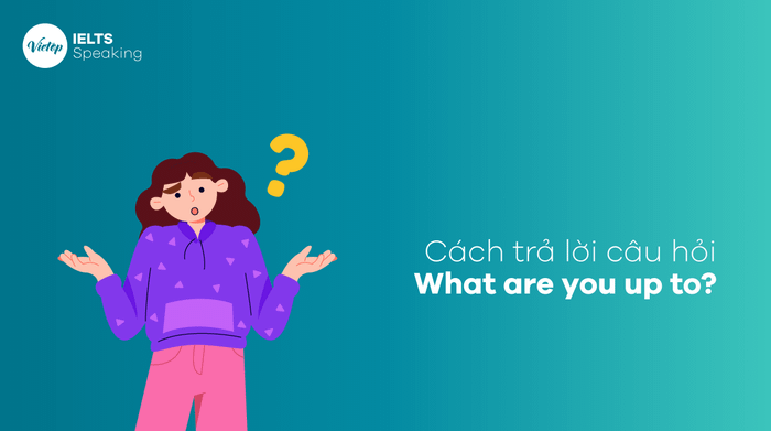 Cách đáp lại câu hỏi What are you up to